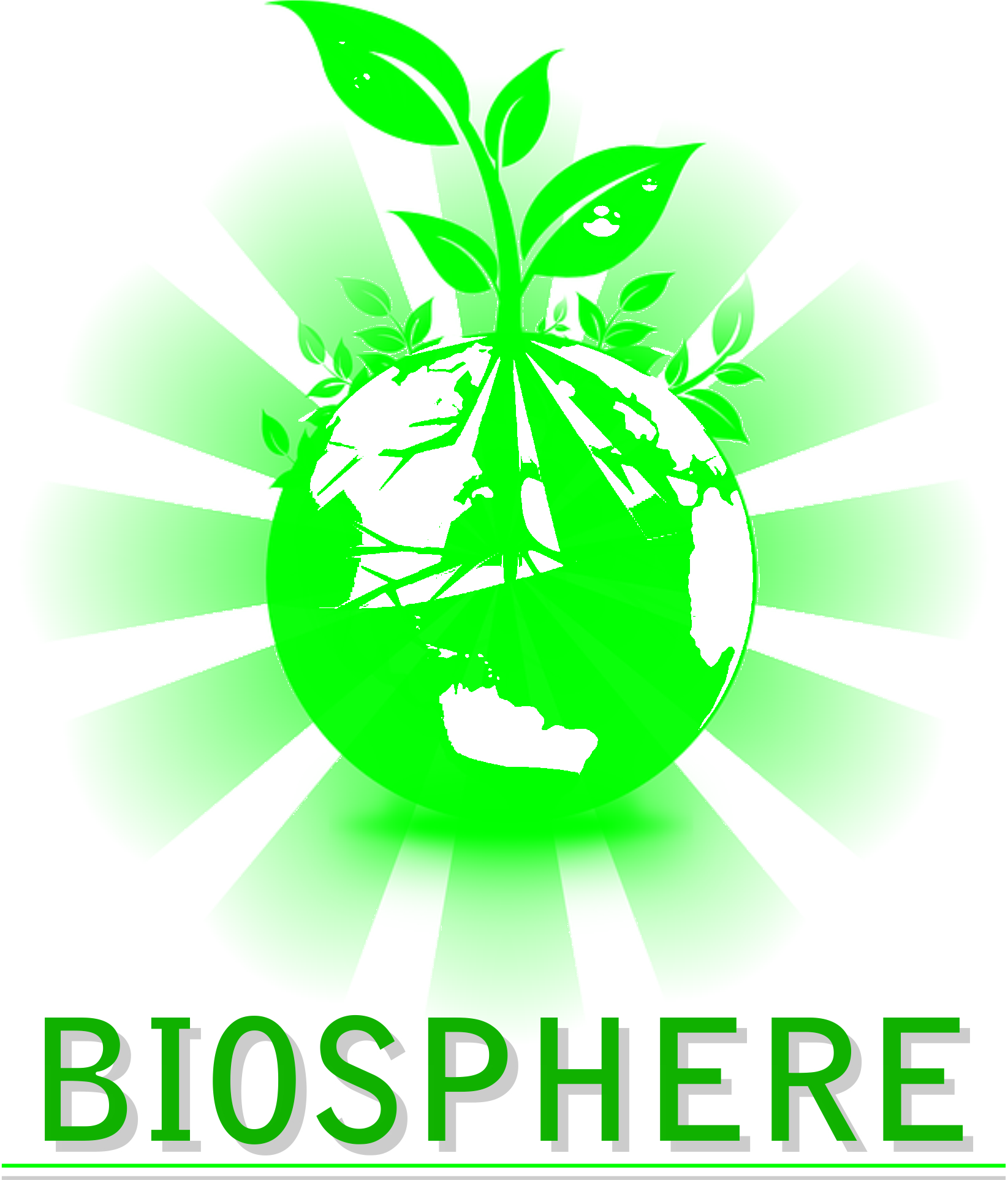 Pssemr School Biosphere club